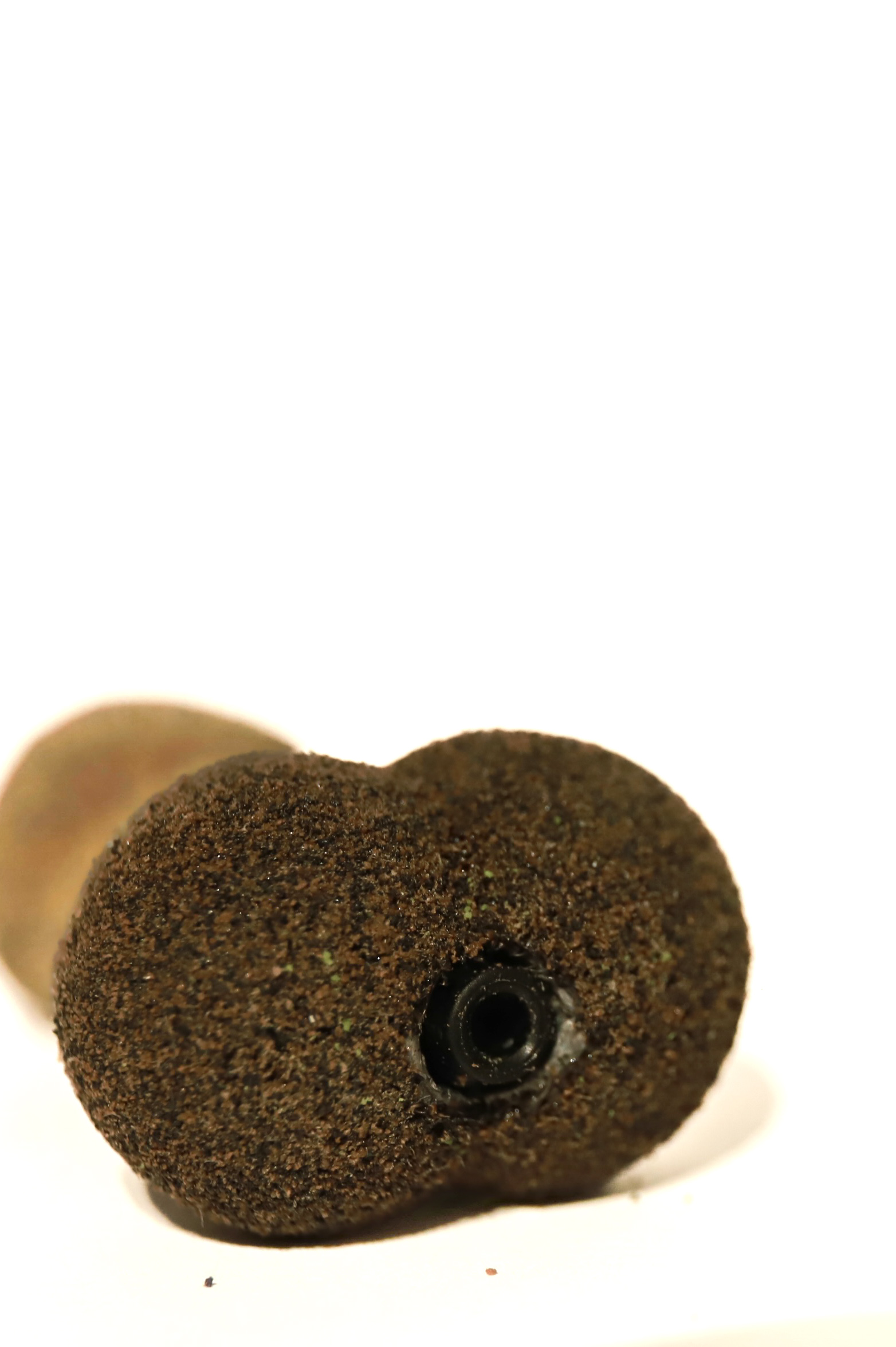 CARPY Bollocks - Inline