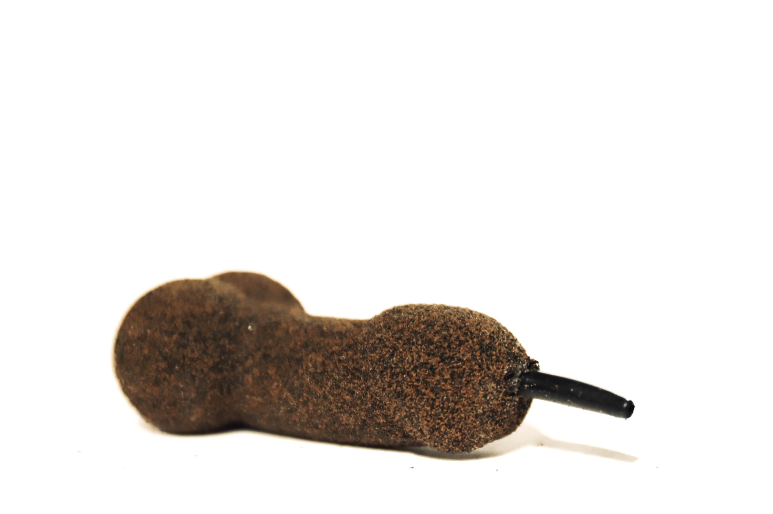 CARPY Bollocks - Inline
